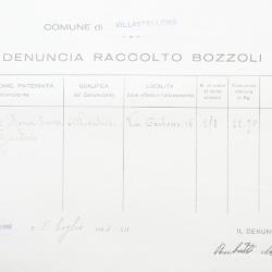Filande e bozzoli