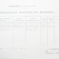 Filande e bozzoli