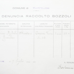 Filande e bozzoli