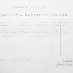Filande e bozzoli