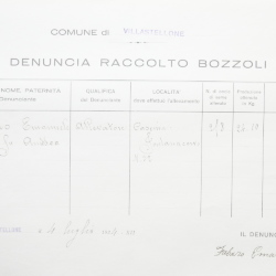 Filande e bozzoli
