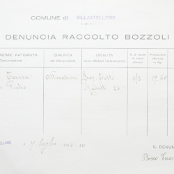 Filande e bozzoli