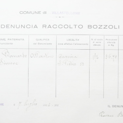 Filande e bozzoli