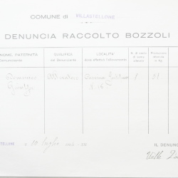 Filande e bozzoli