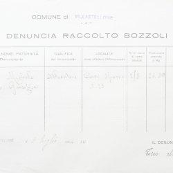 Filande e bozzoli