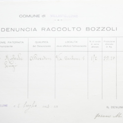 Filande e bozzoli