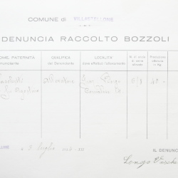 Filande e bozzoli