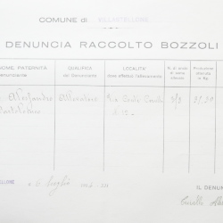 Filande e bozzoli