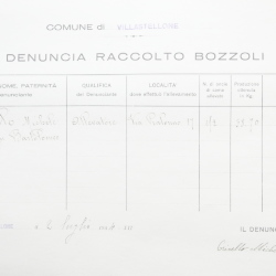 Filande e bozzoli