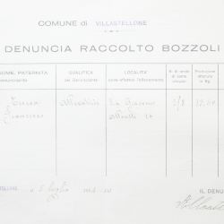 Filande e bozzoli