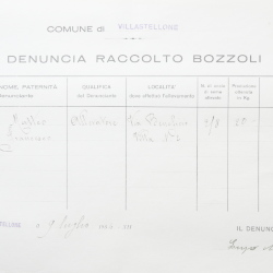 Filande e bozzoli