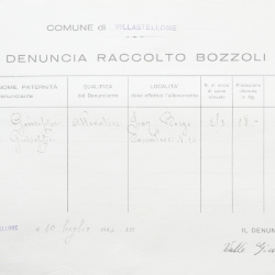Filande e bozzoli