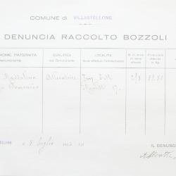 Filande e bozzoli