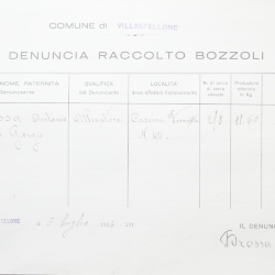 Filande e bozzoli