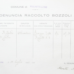 Filande e bozzoli