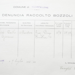 Filande e bozzoli