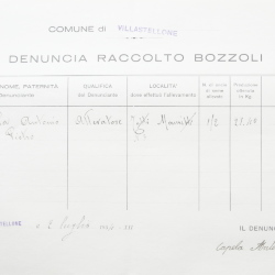 Filande e bozzoli