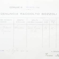 Filande e bozzoli