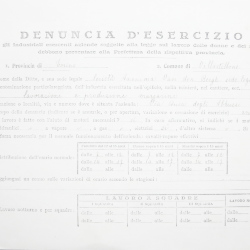Filande e bozzoli