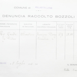 Filande e bozzoli
