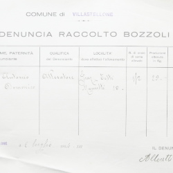 Filande e bozzoli