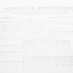 Filande e bozzoli