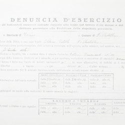Filande e bozzoli