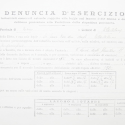 Filande e bozzoli
