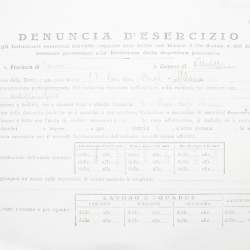 Filande e bozzoli
