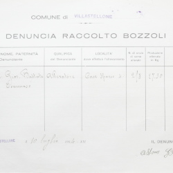 Filande e bozzoli
