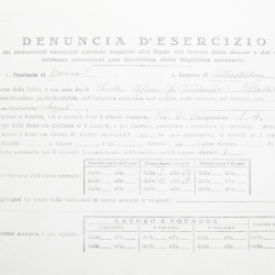 Filande e bozzoli