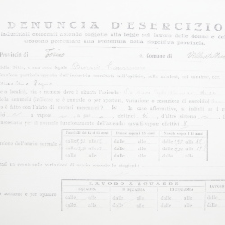 Filande e bozzoli
