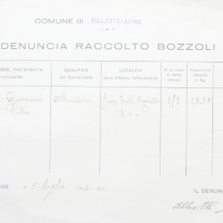 Filande e bozzoli