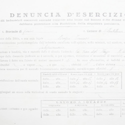 Filande e bozzoli