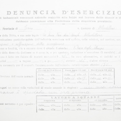 Filande e bozzoli