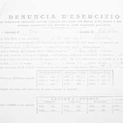 Filande e bozzoli